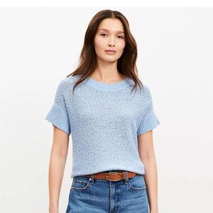 LOFT Ribtrim Wedge Sweater